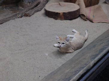 名古屋市東山動植物園に投稿された画像（2025/2/24）