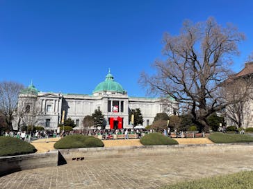 東京国立博物館に投稿された画像（2025/2/24）