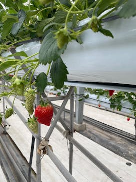 株式会社こまち野に投稿された画像（2025/2/24）