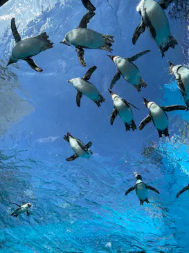 サンシャイン水族館に投稿された画像（2025/2/24）