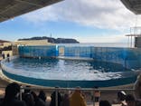 新江ノ島水族館に投稿された画像（2025/2/24）