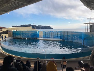 新江ノ島水族館に投稿された画像（2025/2/24）