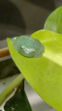 NIFREL（ニフレル）に投稿された画像（2025/2/24）