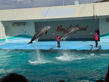 南知多ビーチランド＆南知多おもちゃ王国に投稿された画像（2025/2/24）