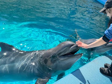 南知多ビーチランド＆南知多おもちゃ王国に投稿された画像（2025/2/24）