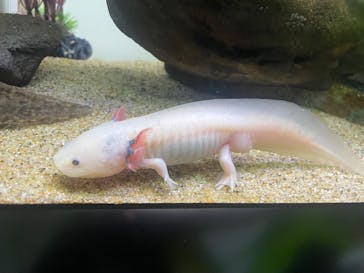 サンシャイン水族館に投稿された画像（2025/2/24）