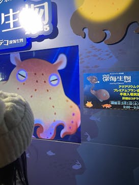 サンシャイン水族館に投稿された画像（2025/2/24）