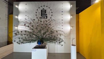 特別展「鳥 ～ゲノム解析が解き明かす新しい鳥類の系統～」国立科学博物館に投稿された画像（2025/2/24）