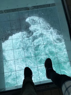 徳島県立 渦の道に投稿された画像（2025/2/24）