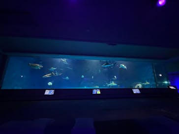 島根県立 しまね海洋館に投稿された画像（2025/2/24）