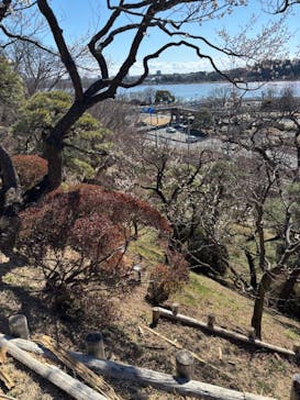 偕楽園本園に投稿された画像（2025/2/24）