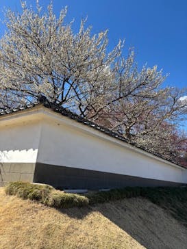 偕楽園本園に投稿された画像（2025/2/24）