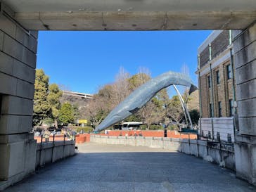 国立科学博物館に投稿された画像（2025/2/24）