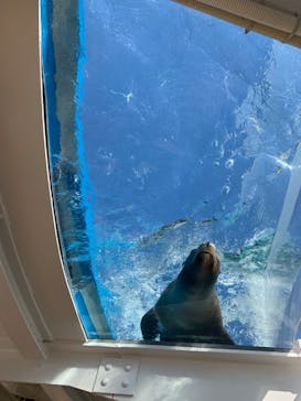 サンシャイン水族館に投稿された画像（2025/2/24）