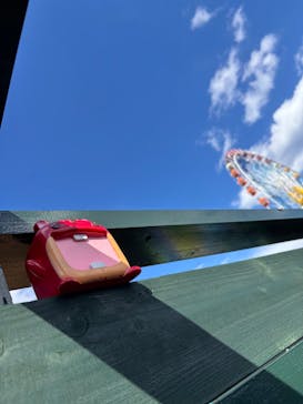 国営ひたち海浜公園プレジャーガーデンに投稿された画像（2025/2/24）