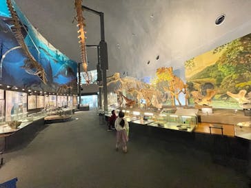 福井県立恐竜博物館に投稿された画像（2025/2/24）