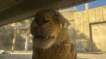 東武動物公園に投稿された画像（2025/2/24）