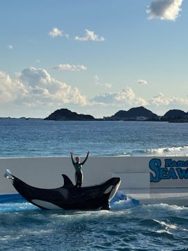 鴨川シーワールドに投稿された画像（2025/2/24）