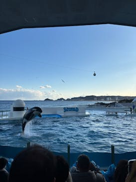 鴨川シーワールドに投稿された画像（2025/2/24）