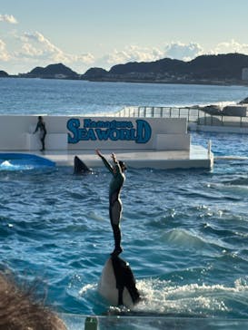 鴨川シーワールドに投稿された画像（2025/2/24）