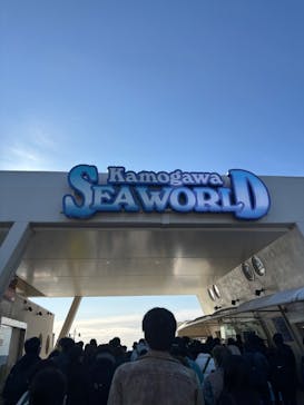 鴨川シーワールドに投稿された画像（2025/2/24）