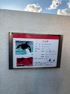 鴨川シーワールドに投稿された画像（2025/2/24）