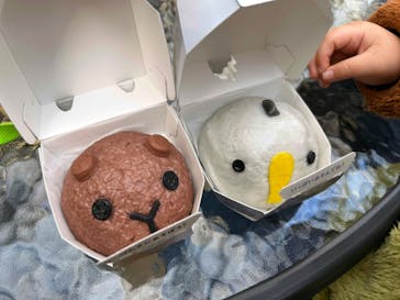 神戸どうぶつ王国に投稿された画像（2025/2/24）