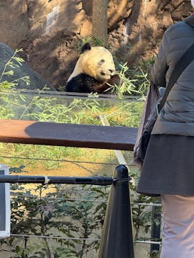 恩賜上野動物園に投稿された画像（2025/2/24）