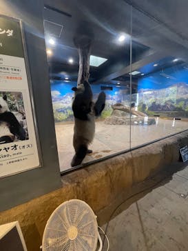 恩賜上野動物園に投稿された画像（2025/2/24）