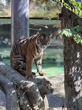 恩賜上野動物園に投稿された画像（2025/2/24）