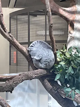 多摩動物公園に投稿された画像（2025/2/24）