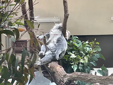 多摩動物公園に投稿された画像（2025/2/24）