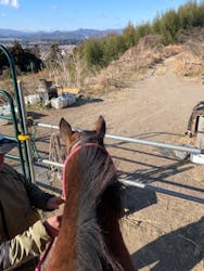 Moon River Horseに投稿された画像（2025/2/24）