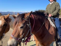 Moon River Horseに投稿された画像（2025/2/24）