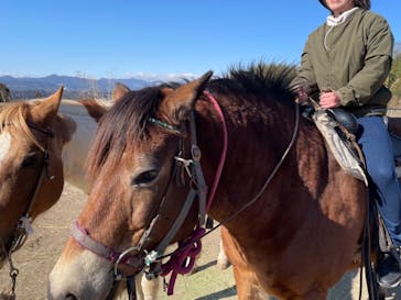 Moon River Horseに投稿された画像（2025/2/24）