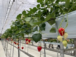 株式会社こまち野に投稿された画像（2025/2/24）