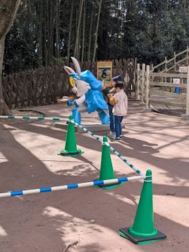 日本モンキーパークに投稿された画像（2025/2/24）