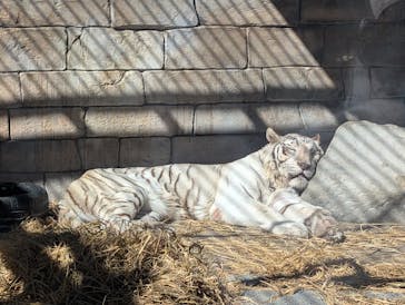 東武動物公園に投稿された画像（2025/2/24）