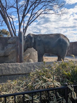 日立市かみね動物園に投稿された画像（2025/2/24）