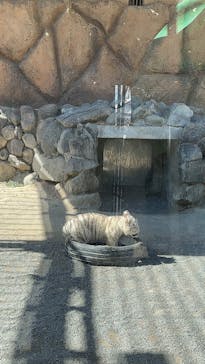 東武動物公園に投稿された画像（2025/2/24）