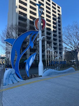 しながわ水族館に投稿された画像（2025/2/24）