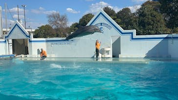 しながわ水族館に投稿された画像（2025/2/24）