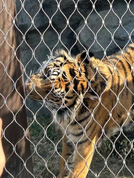 名古屋市東山動植物園に投稿された画像（2025/2/24）