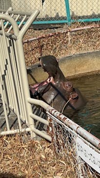名古屋市東山動植物園に投稿された画像（2025/2/24）