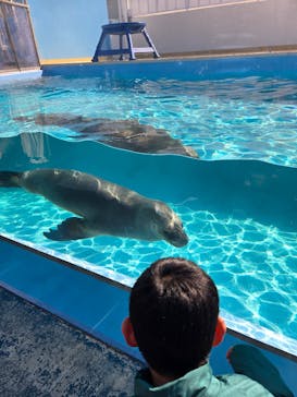 竹島水族館に投稿された画像（2025/2/24）