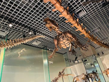 国立科学博物館に投稿された画像（2025/2/24）