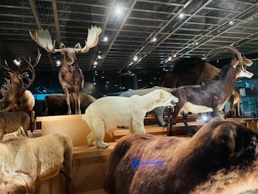 国立科学博物館に投稿された画像（2025/2/24）