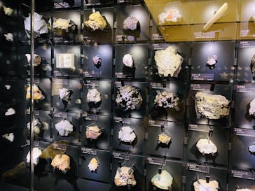 国立科学博物館に投稿された画像（2025/2/24）