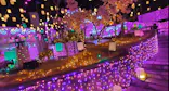 ひらかたパークに投稿された画像（2025/2/24）