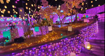 ひらかたパークに投稿された画像（2025/2/24）